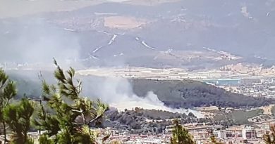 İzmir'de ağaçlık alanda yangın kontrol altında