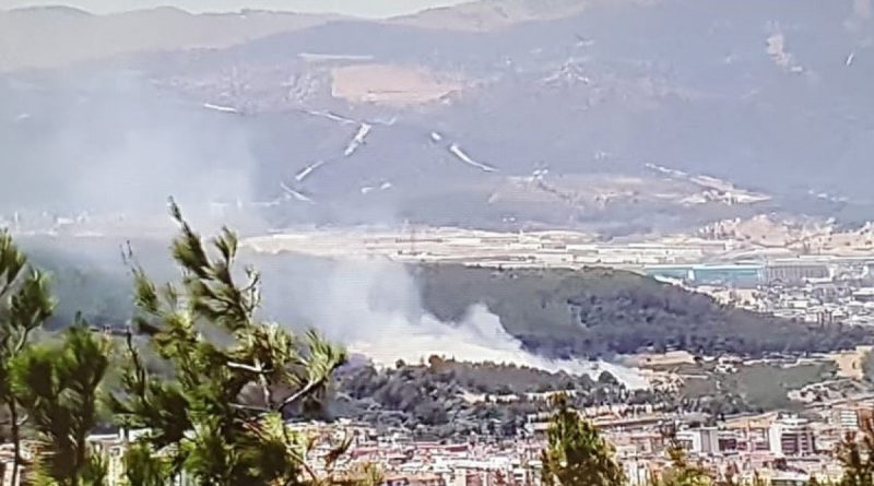 İzmir'de ağaçlık alanda yangın kontrol altında