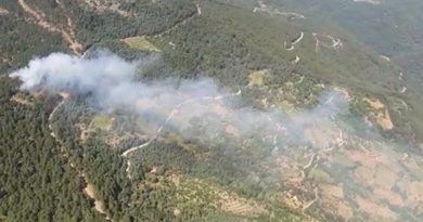 İzmir'de ormanlık alanda yangın