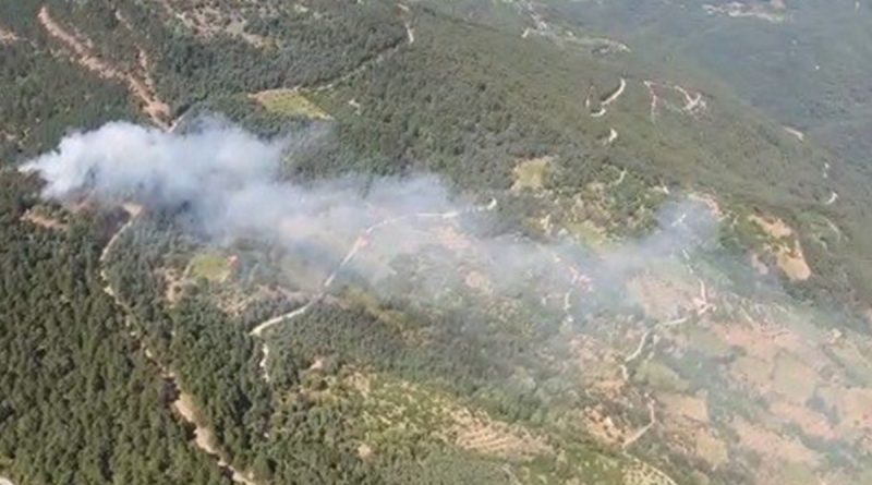 İzmir'de ormanlık alanda yangın