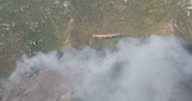 İzmir’deki orman yangını yaklaşık 15 saat sonra kontrol altına alındı