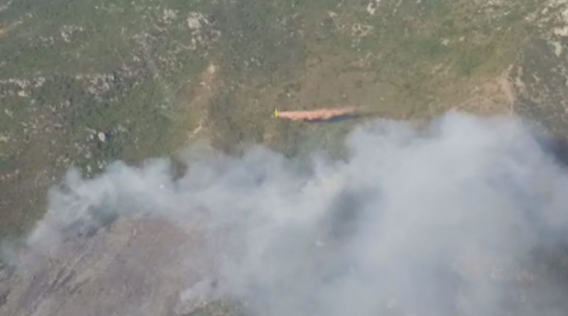 İzmir’deki orman yangını yaklaşık 15 saat sonra kontrol altına alındı