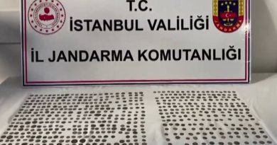 Jandarma'dan tarihi eser kaçakçılarına operasyon