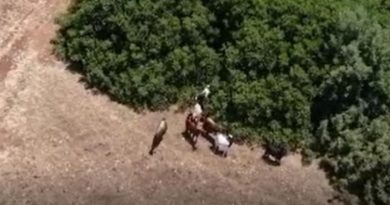 Jandarma kayıp keçileri dronle buldu