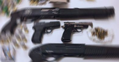 Kahramanmaraş’ta 19 silah ele geçirildi