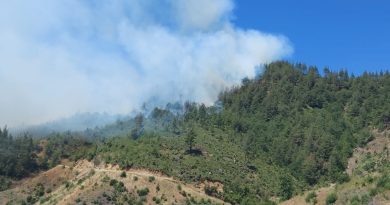 Kahramanmaraş'ta orman yangını