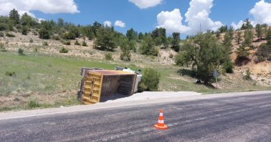 Karaman’da freni boşalan mucur yüklü kamyon devrildi: 1 yaralı