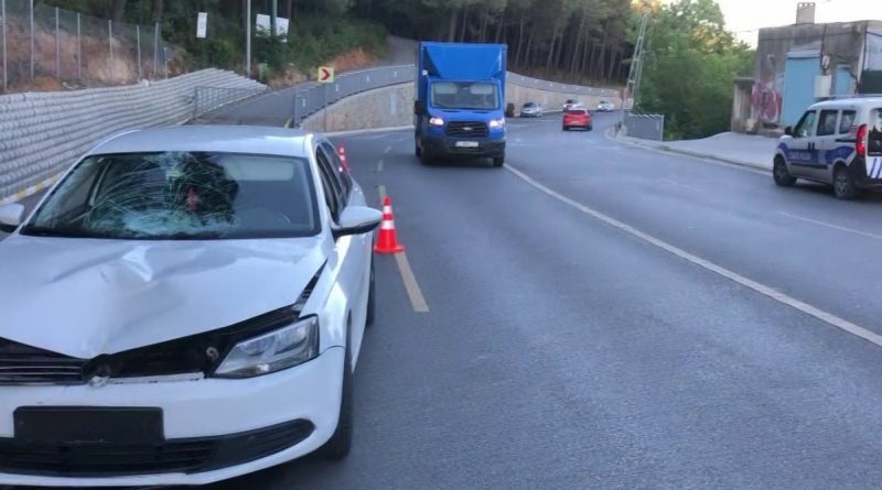 Kartal'da yolun karşısına geçmeye çalışan kadına araba çarptı