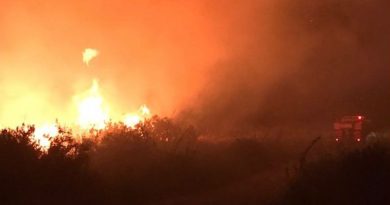 Kaş'taki makilik yangını 2 saatte kontrol altına alındı