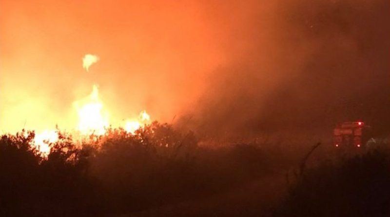 Kaş'taki makilik yangını 2 saatte kontrol altına alındı