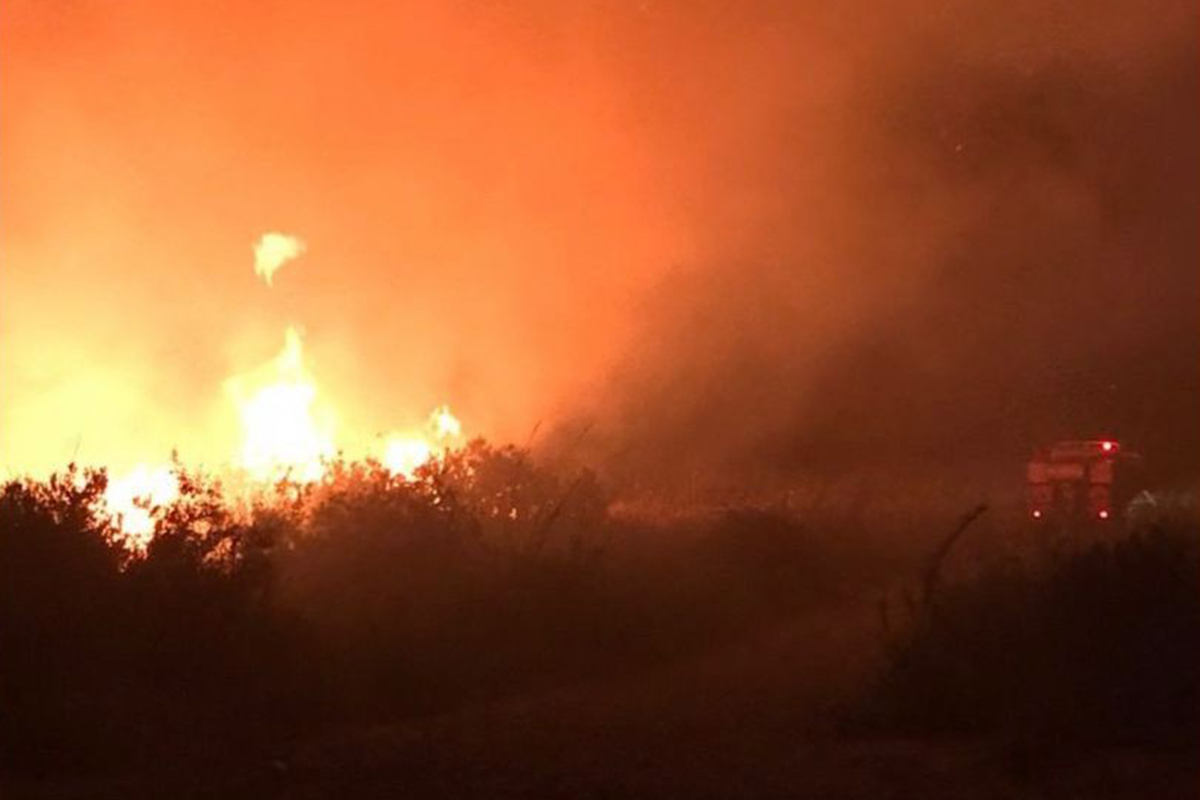 Kaş'taki makilik yangını 2 saatte kontrol altına alındı