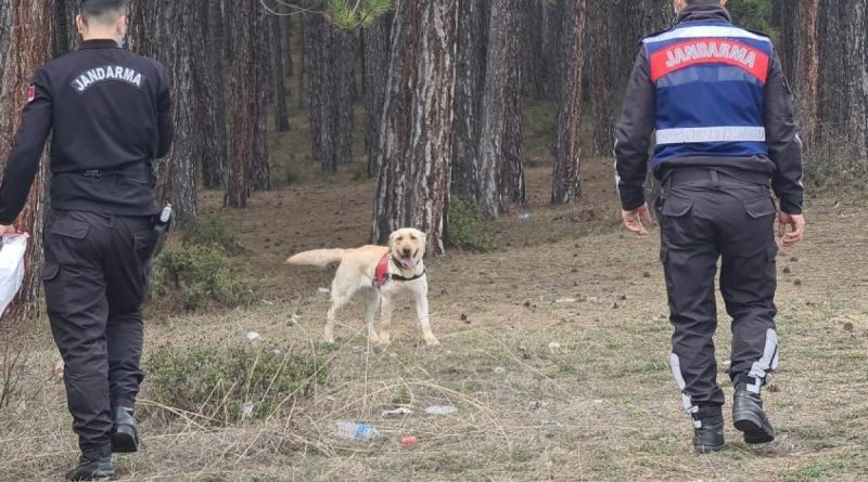 Kaybolan 2 gence ait ormanlık alanda izlere rastlandı