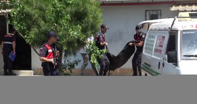 Kendisinden şikâyetçi olan karısını 5 kurşunla öldürdü