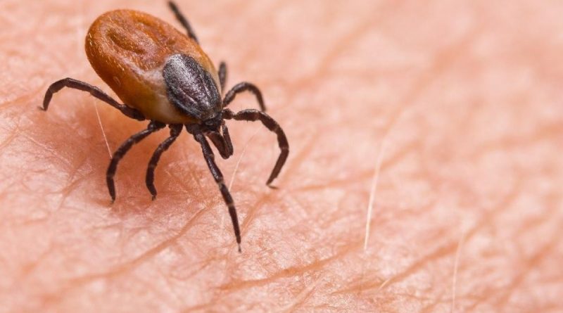 Keneden iki ölüm daha, sayı 5’e yükseldi