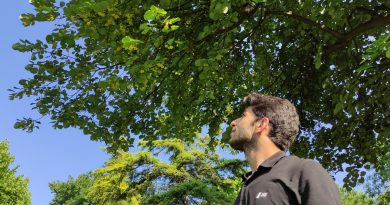 Kilosu yüzlerce lira...Her cadde ve parkta var, kimse toplamıyor