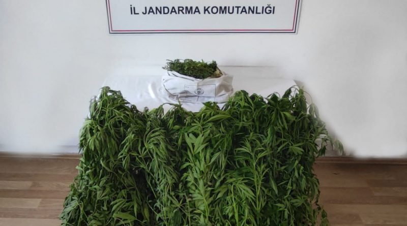 Kırklareli'de dronla tespit edilen adreslere jandarmadan şok operasyon