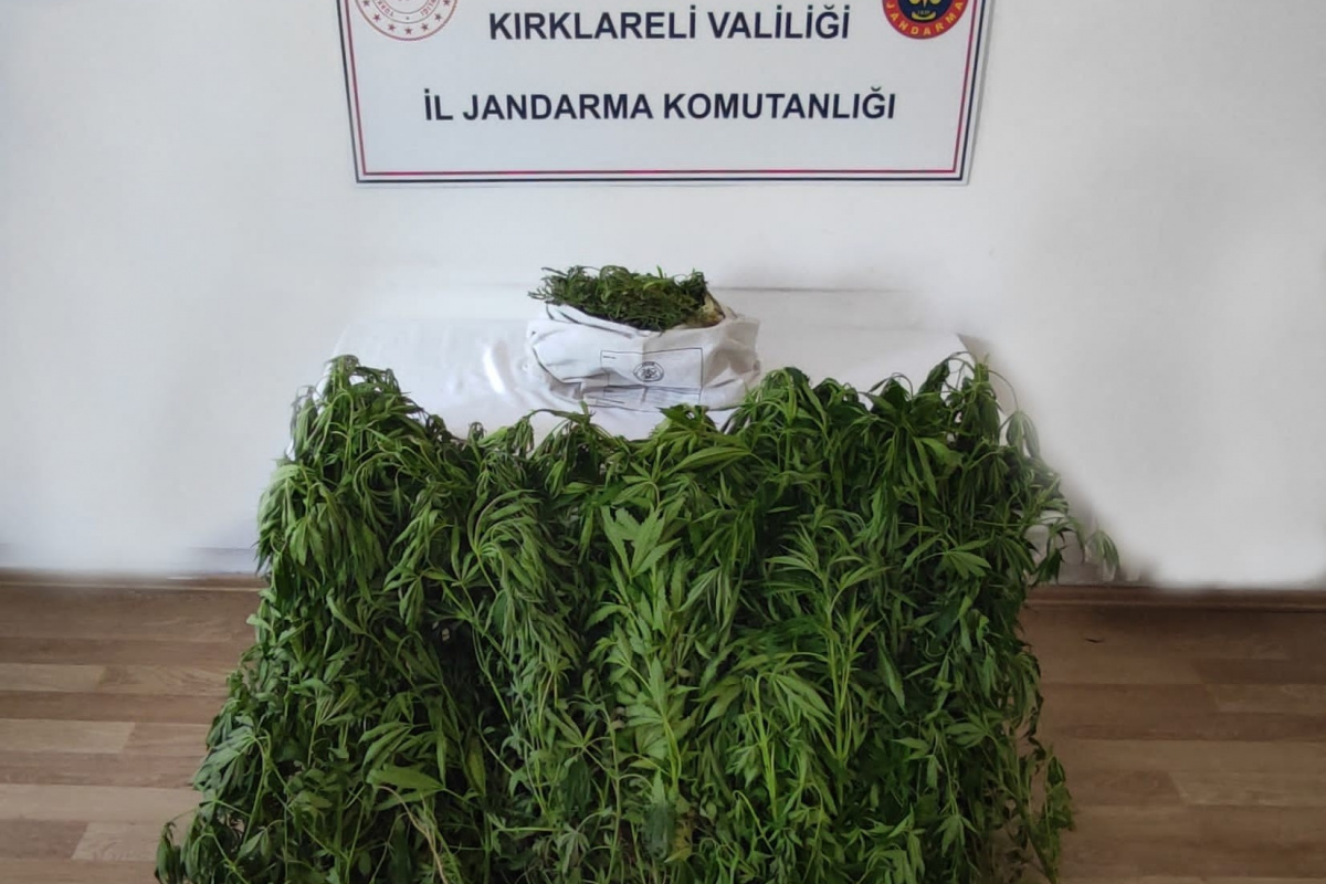 Kırklareli'de dronla tespit edilen adreslere jandarmadan şok operasyon