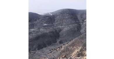 KKTC’deki yangın büyük oranda kontrol altına alındı