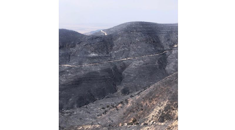 KKTC’deki yangın büyük oranda kontrol altına alındı