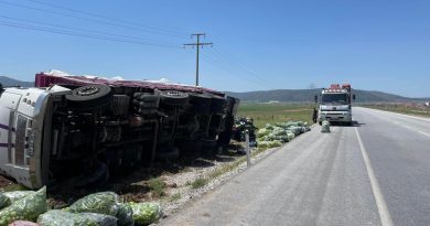 Kontrolden çıkan dolmalık biber yüklü kamyon refüje devrildi