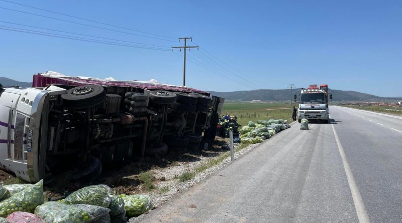 Kontrolden çıkan dolmalık biber yüklü kamyon refüje devrildi