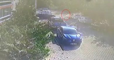 Köpeğe çarpıp yoluna devam etti, güvenlik kamerasına yakalandı