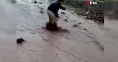 Köy evlerini sel vurdu