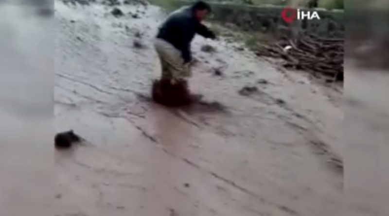 Köy evlerini sel vurdu