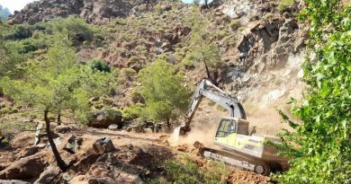 Köyceğiz yangını kontrol altına alındı