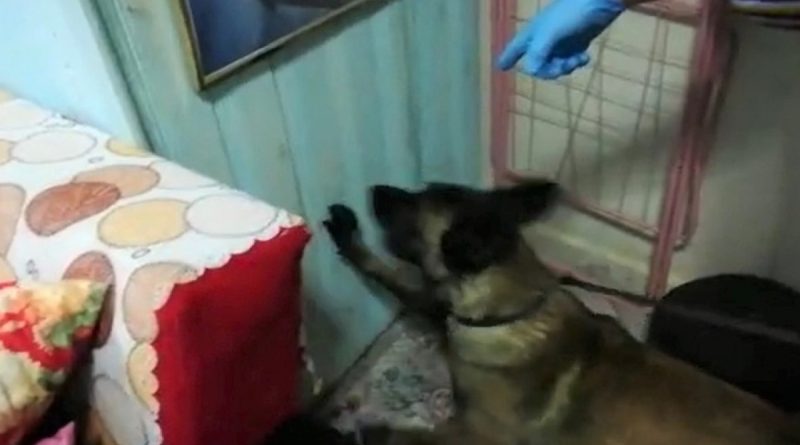 Kütahya'da uyuşturucu operasyonu