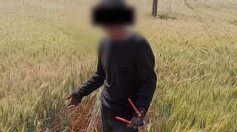 Manisa’da kablo hırsızı suçüstü yakalandı