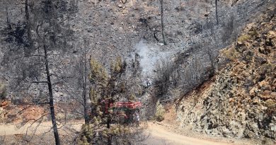 Marmaris Bördübet yangınında soğutma çalışmaları tüm hızı ile devam ediyor
