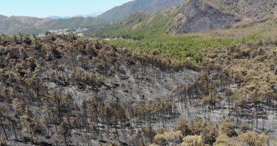 Marmaris'te alev savaşçılarının nöbeti devam ediyor