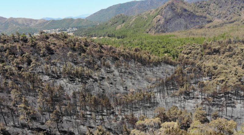 Marmaris'te alev savaşçılarının nöbeti devam ediyor