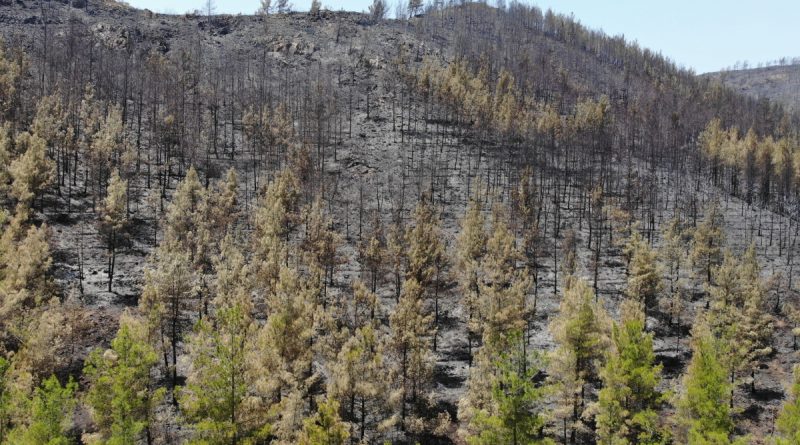 Marmaris’te söndürülen alanlar havadan görüntülendi