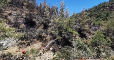 Marmaris'te yanan alanların soğutma çalışmaları devam ediyor