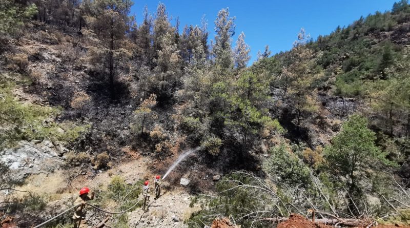 Marmaris'te yanan alanların soğutma çalışmaları devam ediyor