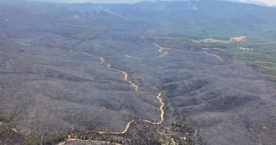Marmaris’teki orman yangıyla ilgili 1 kişi gözaltına alındı