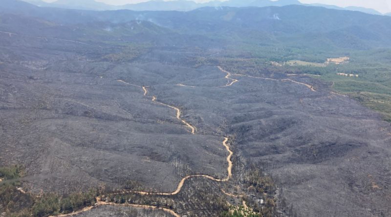Marmaris’teki orman yangıyla ilgili 1 kişi gözaltına alındı