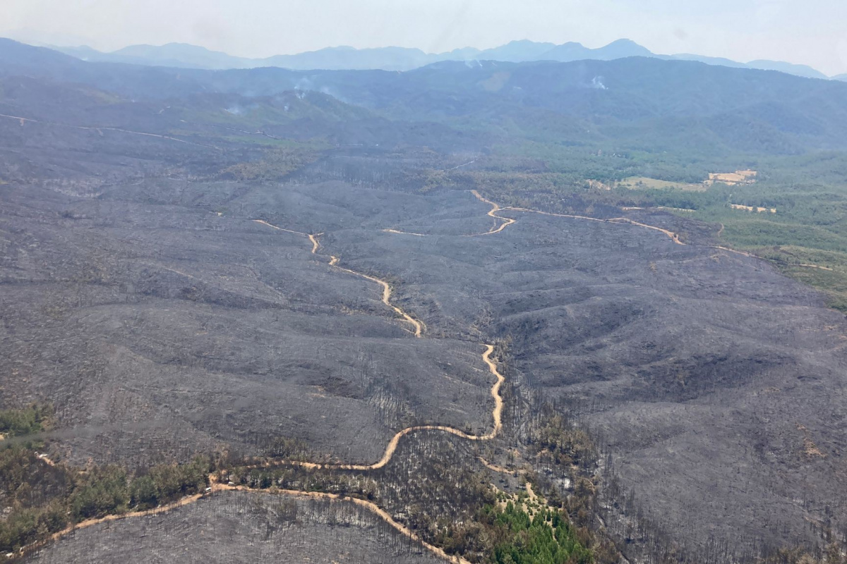 Marmaris’teki orman yangıyla ilgili 1 kişi gözaltına alındı