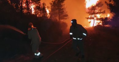 Marmaris’teki yangın akıllara kundakçılara verilen cezaları getirdi