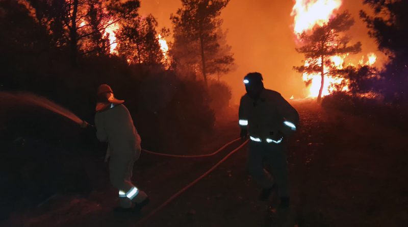 Marmaris’teki yangın akıllara kundakçılara verilen cezaları getirdi
