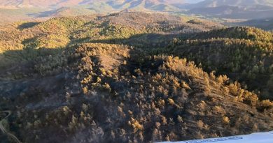 Marmaris yangını kısmen kontrol altında