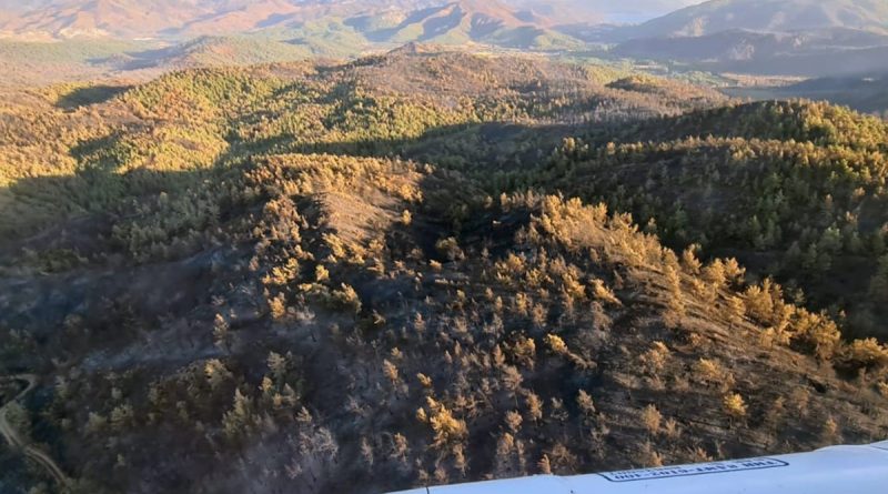 Marmaris yangını kısmen kontrol altında