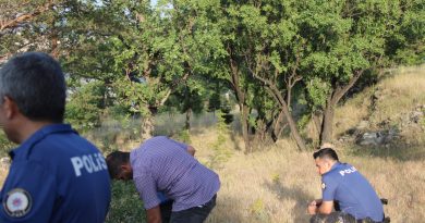 Mesire alanında kan donduran görüntü