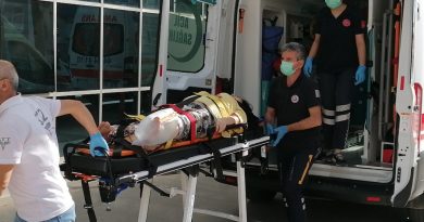 Meyve toplamak için çıktığı ağaçtan düşen kadın yaralandı