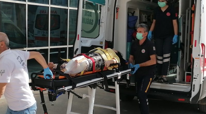 Meyve toplamak için çıktığı ağaçtan düşen kadın yaralandı