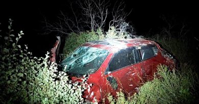 Milas'ta kontrolden çıkan araç uçuruma yuvarlandı: 2 yaralı