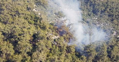 Milas’ta orman yangını!