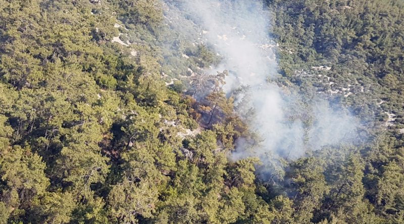 Milas’ta orman yangını!